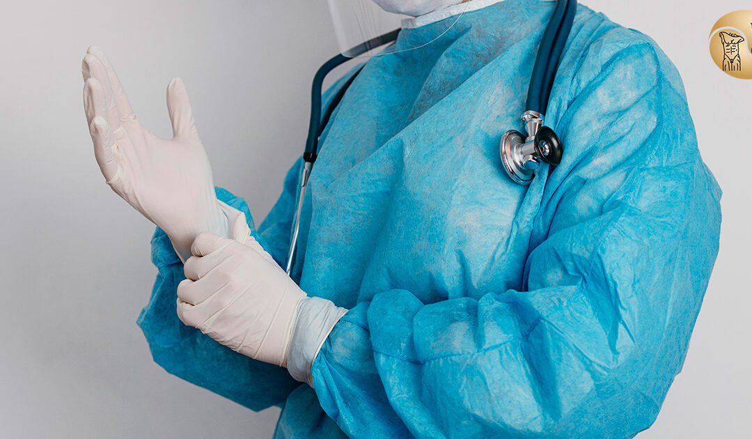 Saiba quais são os critérios na hora da escolha do melhor cirurgião plástico